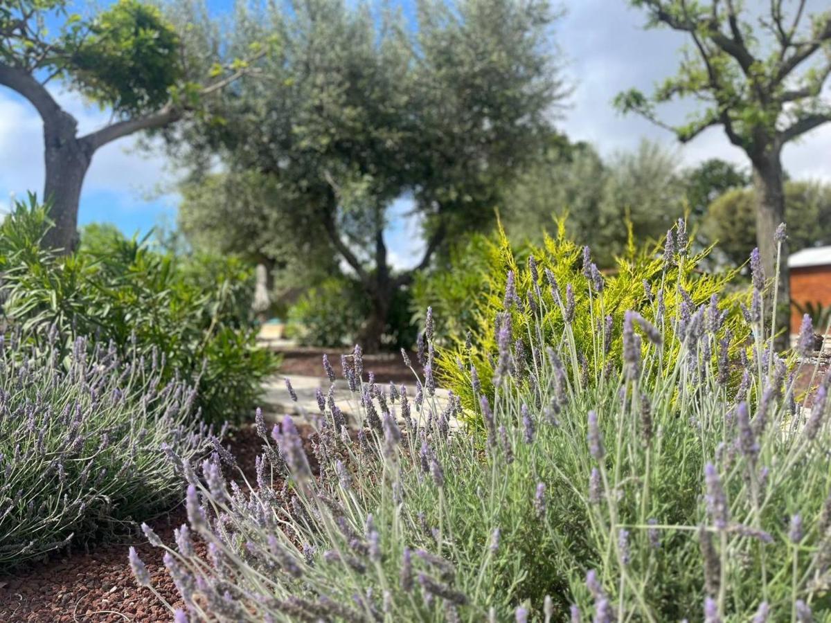 Апартаменты Maison Dei Trulli Локоротондо Экстерьер фото